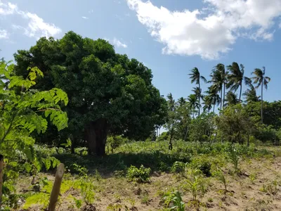 20160520_112237 (Large).jpg